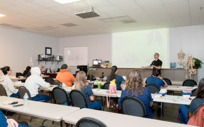 What Is the Difference Between Lecture Hours and Lab Hours in Massage School?