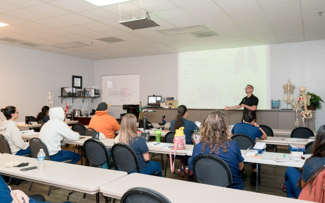 How To Start Your Career: Choosing The Right Massage Therapy School