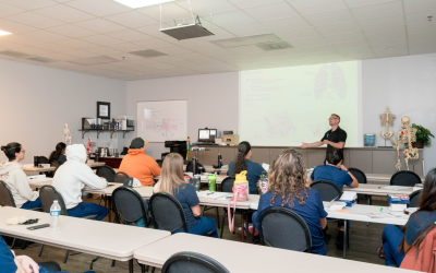 How To Start Your Career: Choosing The Right Massage Therapy School